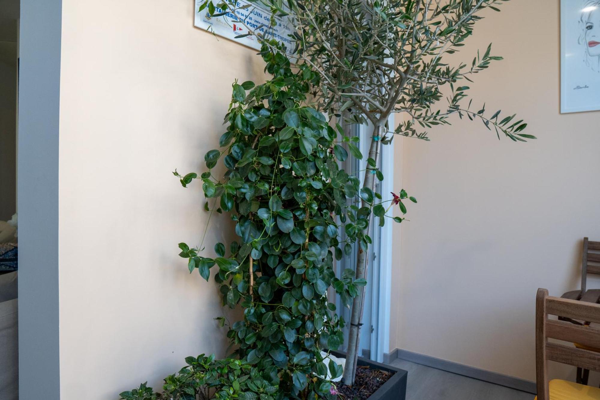 T2! 3 Ou 4 Personnes Centre Ville Neuf Avec Garage Sanary-sur-Mer Extérieur photo